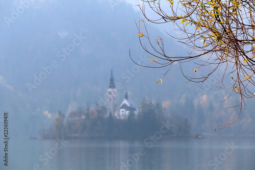 Autumn leaves on a tree at Lake Bled, Slovenia. The Church on the Bled island in the background. Selective focus. Lake Bled is popular travel destination in Slovenia. 