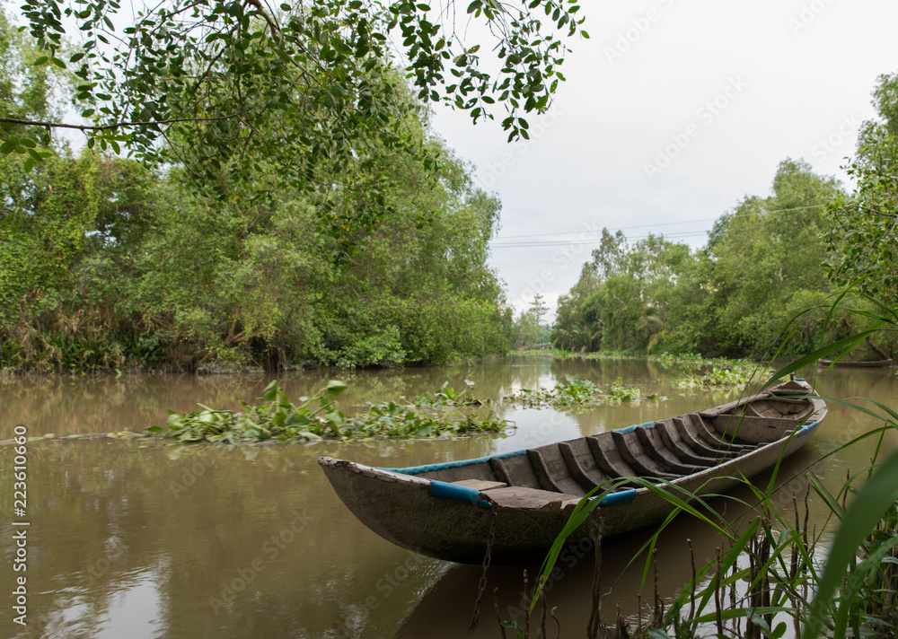 Obraz premium Water in Mekong Delta (Vietnam)