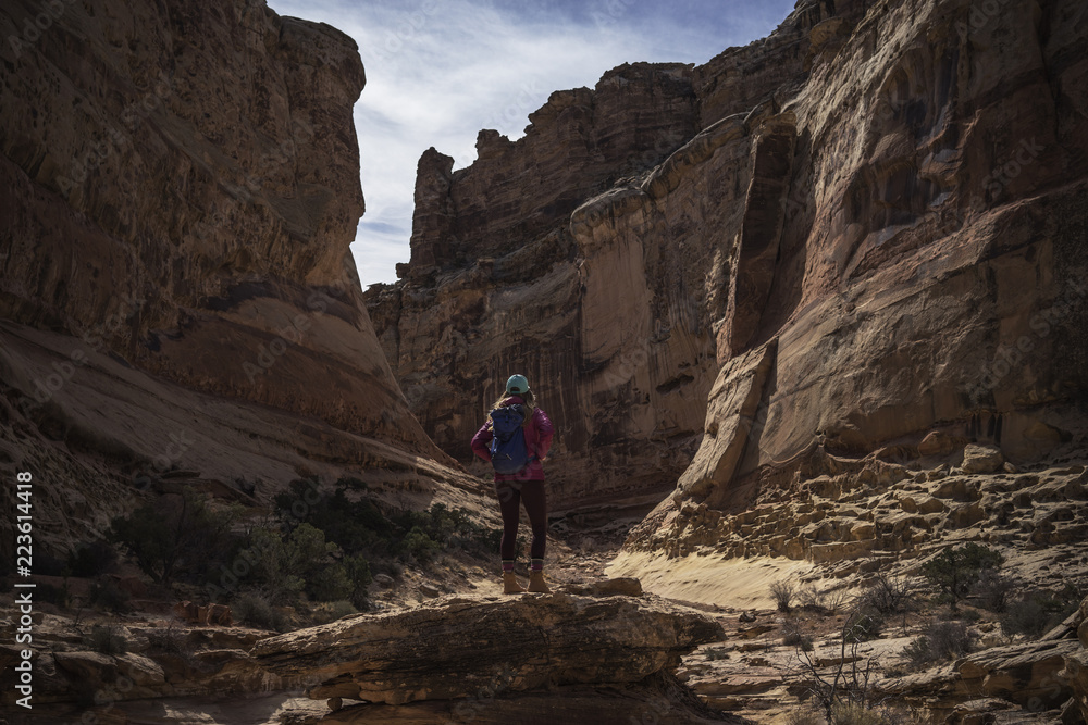 Rear view of female hiker looking at mountains while standing on rock during sunny day Rear view of female hiker looking at mountains while standing on rock during sunny day