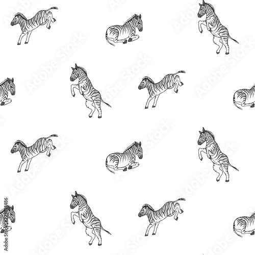 vector illustration zebra repeat pattern print photo