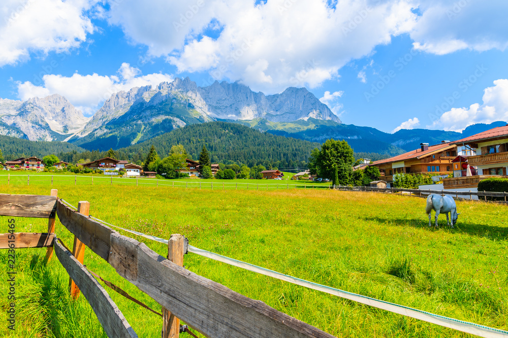 Fence on green meadow with horses grazing in Going am Wilden Kaiser mountain village on sunny summer day, Tyrol, Austria