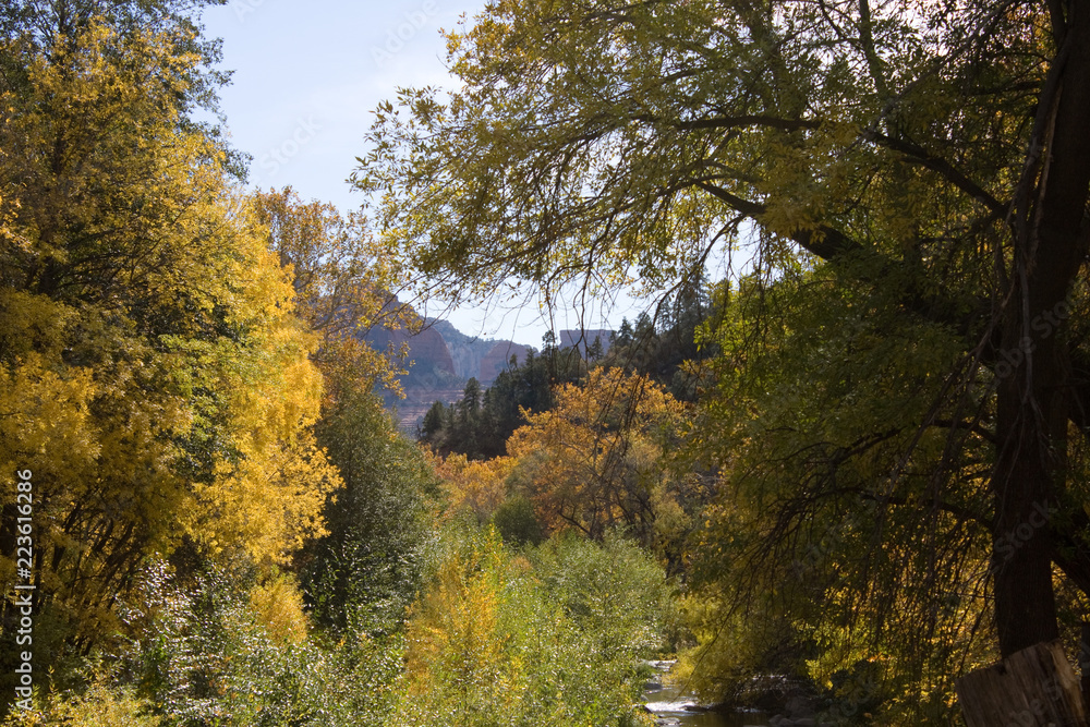 Fall in Oak Creek Canyon, Arizona, near Sedona Fall in Oak Creek Canyon, Arizona, near Sedona