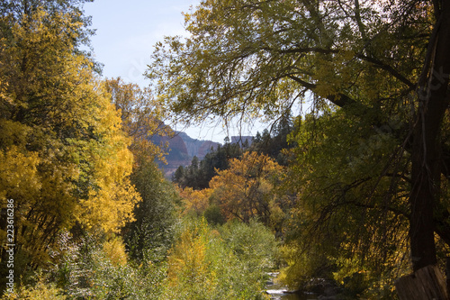 Fall in Oak Creek Canyon, Arizona, near Sedona