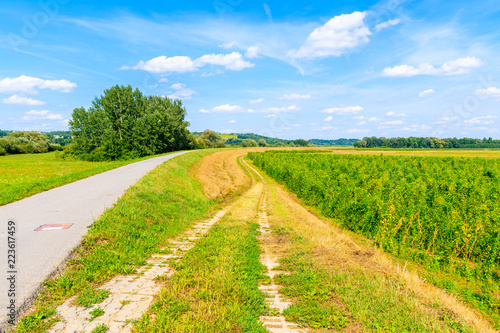 Cycling lane along green fields and Vistula river near Cracow city on sunny summer day, Poland © pkazmierczak