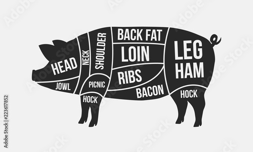 Meat cuts. Cuts of pork. Pig silhouette isolated on white background. Vintage Poster for butcher shop. Retro diagram. Vector illustration