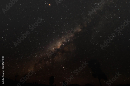 Beautiful view of milky way and silhouette trees on the way to Kawah Ijen in Java  Indonesia.