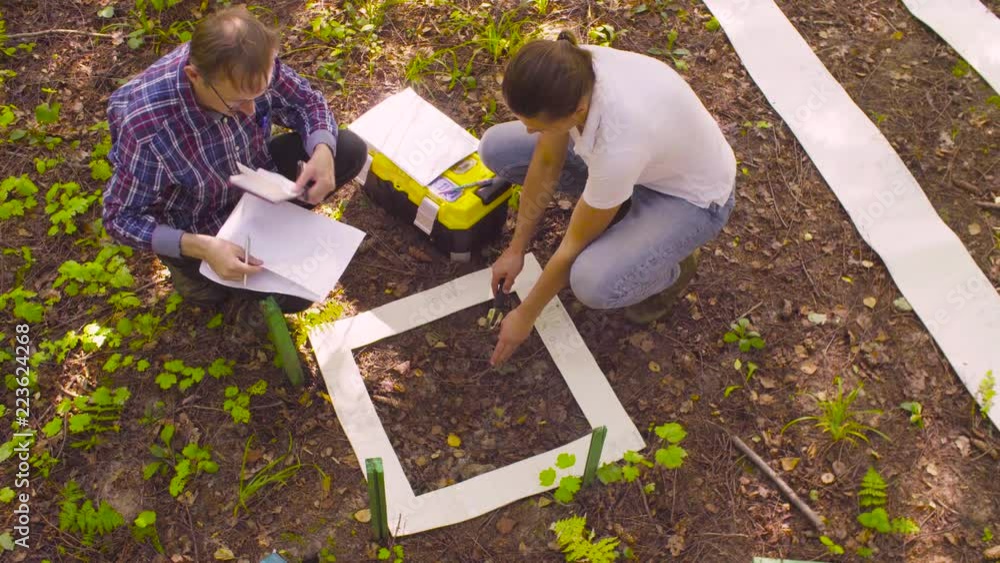 Top view. Two ecologist getting samples of soil in the forest inside square marking site. Field work