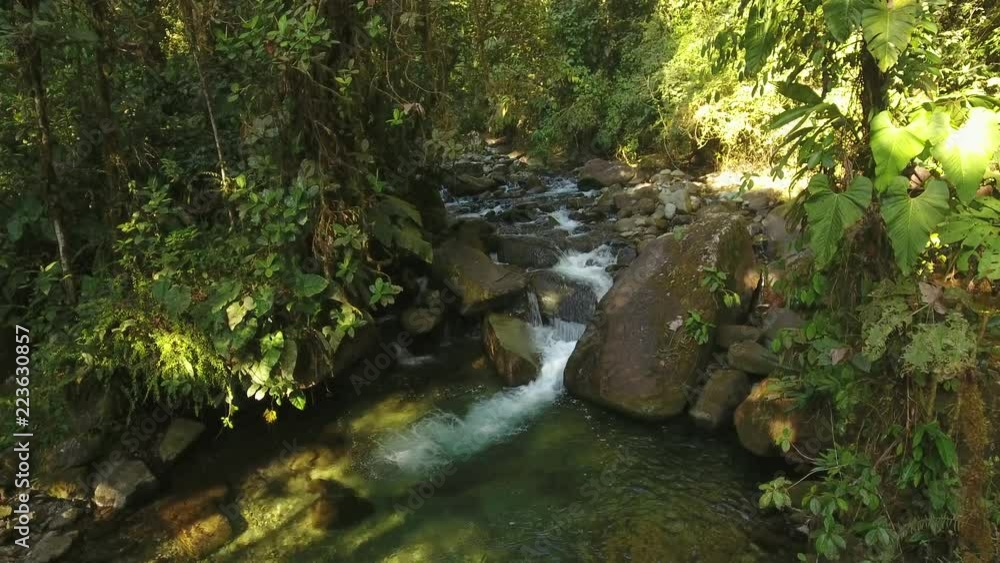 Flying over a waterfall in pristine montane rainforest at the Los Cedros Biological Reserve in western Ecuador Flying over a waterfall in pristine montane rainforest at the Los Cedros Biological Reserve in western Ecuador