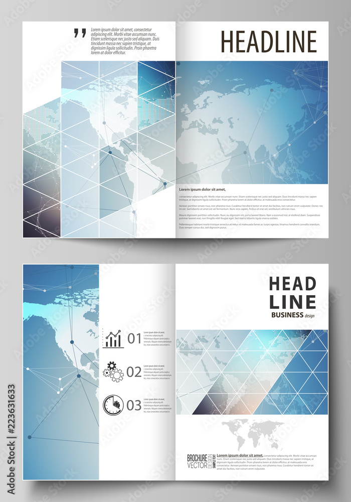 The vector illustration of the editable layout of two A4 format modern cover mockups design templates for brochure, flyer, booklet. Polygonal geometric linear texture. Global network, dig data concept