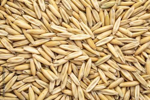 oat groats background