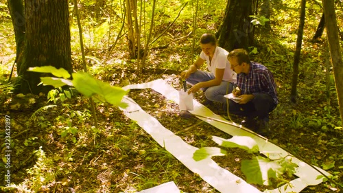 Crane shot. Woman getting sampels of the soil inside the square marking site in the forest. Field work photo