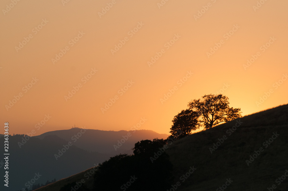 Sunset in rural California with oak tree in silhouette Sunset in rural California with oak tree in silhouette