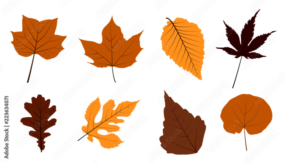 Autumn leaves hojas de otoño pack collection
