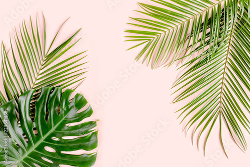 Exotic background, pattern with tropical palm leaves Monstera on pink background. Flat lay, top view minimal concept.