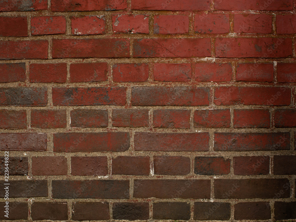 Fototapeta premium 煉瓦の壁