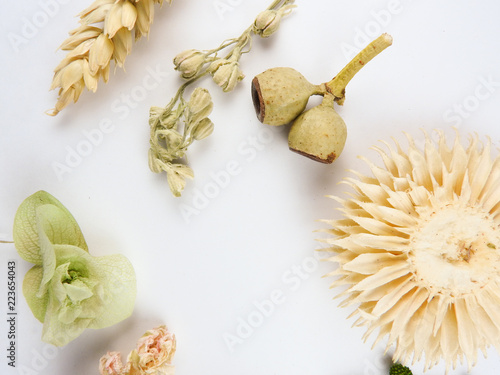 Top view of beautiful dry pink flowers, green leaves and other plant materials on white background. Flat lay. Natural and dried flower subject. Fresh and relaxed atmosphere. With copy space.