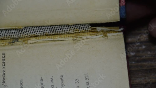 Insect feeding on paper - silverfish. Pest books and newspapers. Lepismatidae, Thermobia domestica.