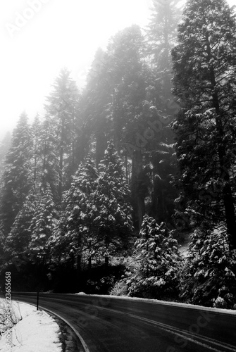 Snowy Road