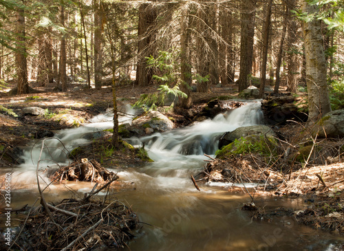 Dreamy Creek