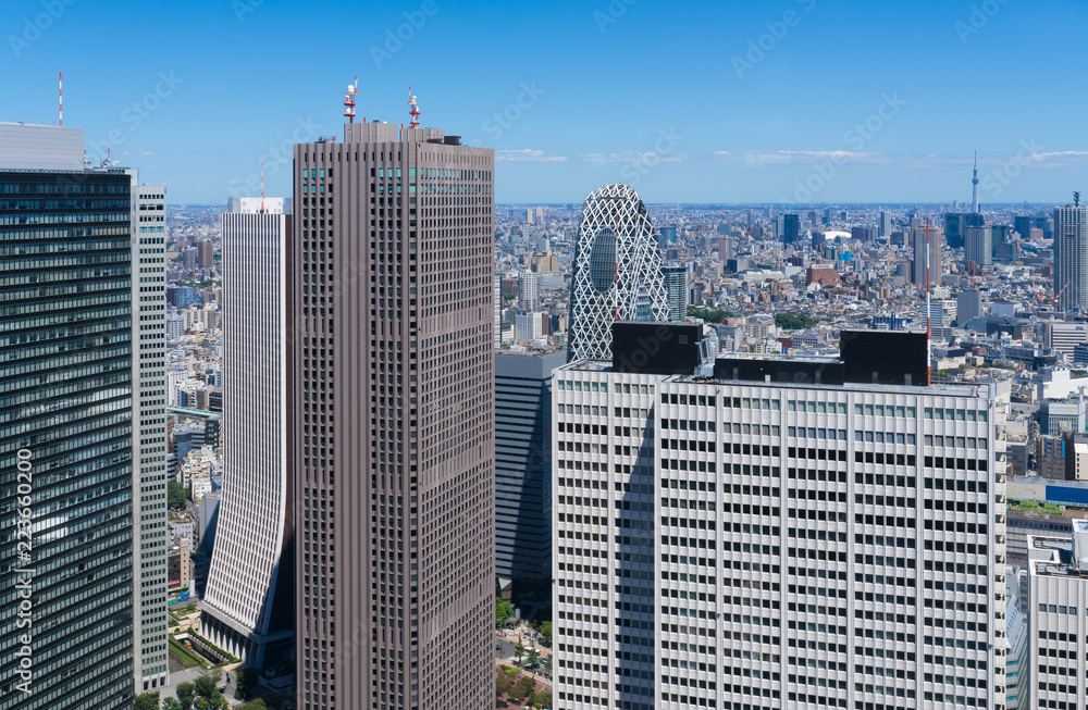 東京風景・新宿高層ビル群と東京スカイツリー