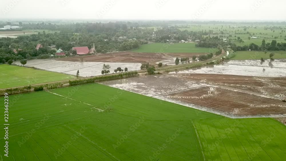 Aerial view from Drone curve of green rice fields Aerial view from Drone curve of green rice fields