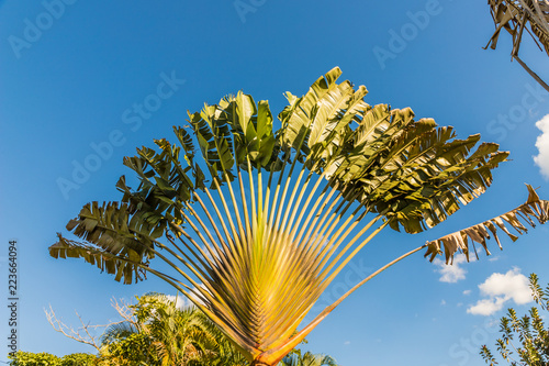 A typical view in Costa Rica photo