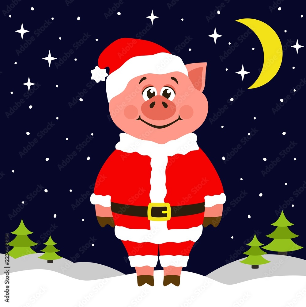 Pig in Santa Claus costume standing on the snow at night. The stars and crescent are shining. Greeting card for Christmas or New Year on a black background. Cartoon character for childrens . Vector. Pig in Santa Claus costume standing on the snow at night. The stars and crescent are shining. Greeting card for Christmas or New Year on a black background. Cartoon character for childrens . Vector.