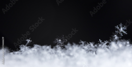 snowflake, little snowflake on the snow