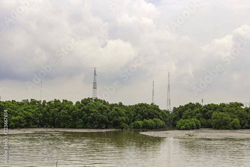 The area of mangrove forest at the mouth of the river. The background of the antenna and the clouds.