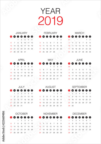 Year 2019 calendar vector design template