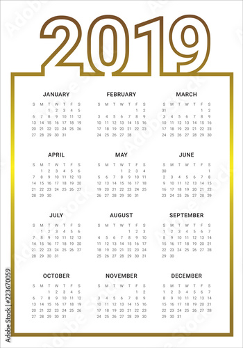 Year 2019 calendar vector design template