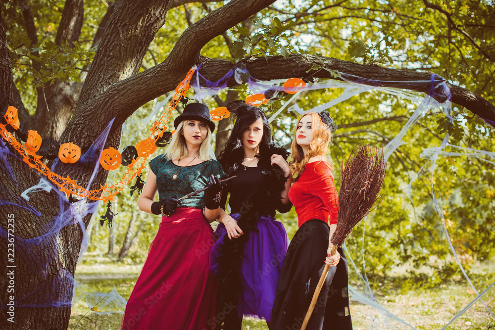 Three elegant and charming, playful, flirty, dangerous, mysterious, scary female beauty. Close up portrait of gorgeous withes fairy enchantress, on a carnaval Three elegant and charming, playful, flirty, dangerous, mysterious, scary female beauty. Close up portrait of gorgeous withes fairy enchantress, on a carnaval