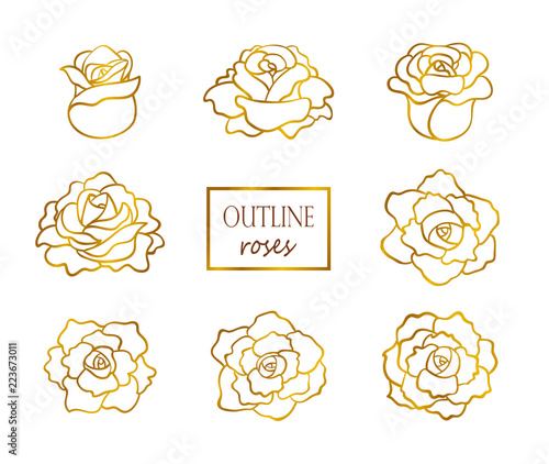 Vector set of outline golden roses, side and top view