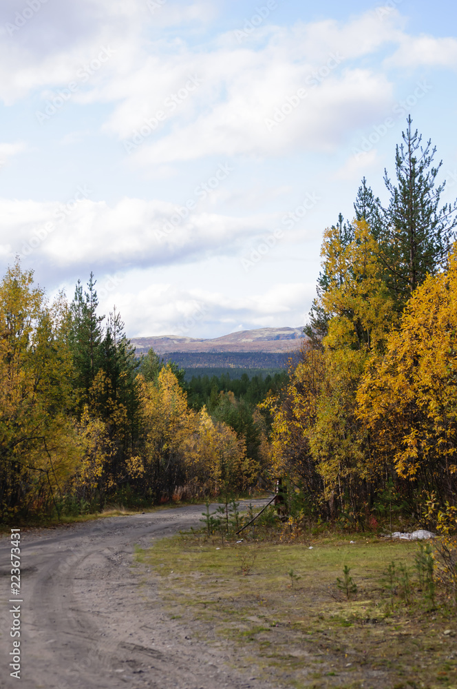 Naklejka premium Autumn