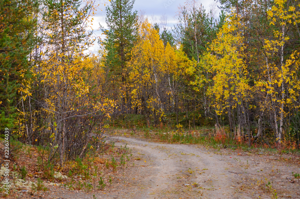 Obraz premium Autumn