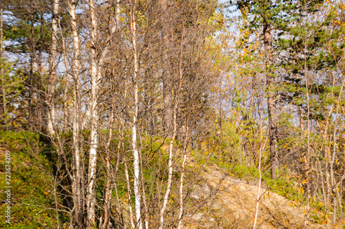 Autumn