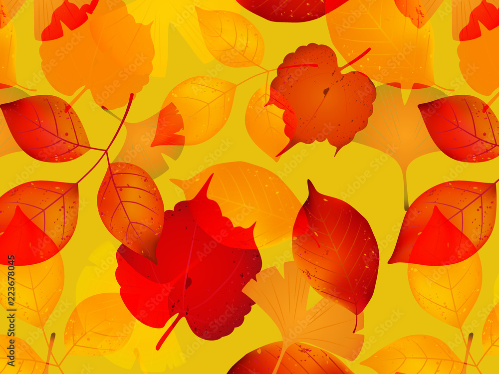 Fototapeta premium 紅葉パターン