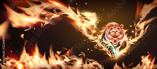 Tiger with burning flame