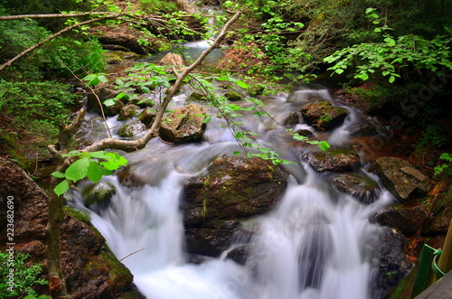 Sources of the Llobregat, Castellar de N'hug, Barcelona