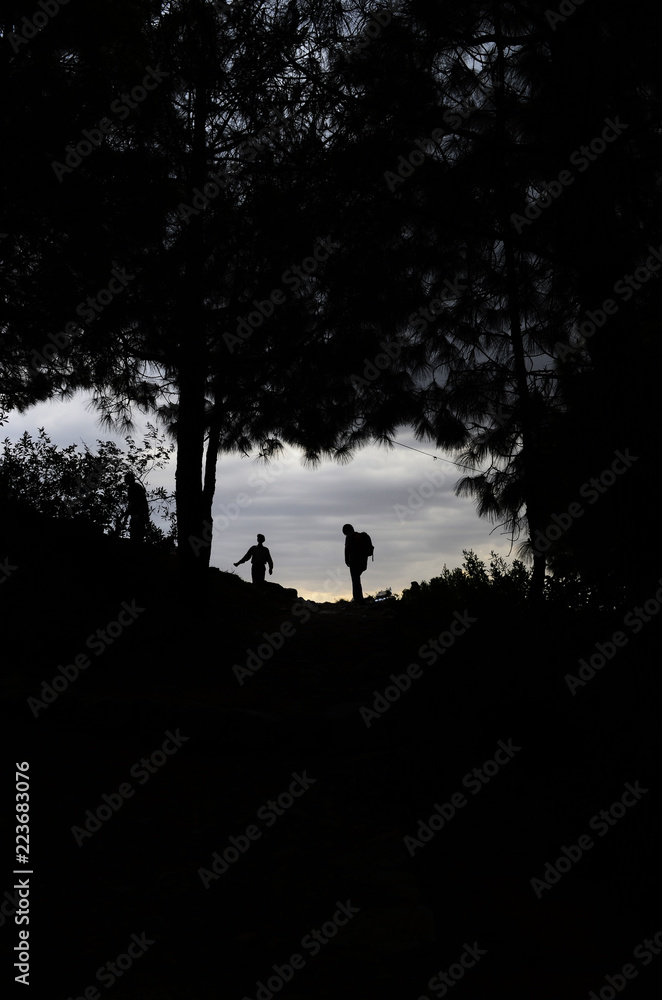 sunset seen of trees and persons in black seen 