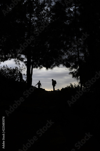 sunset seen of trees and persons in black seen 