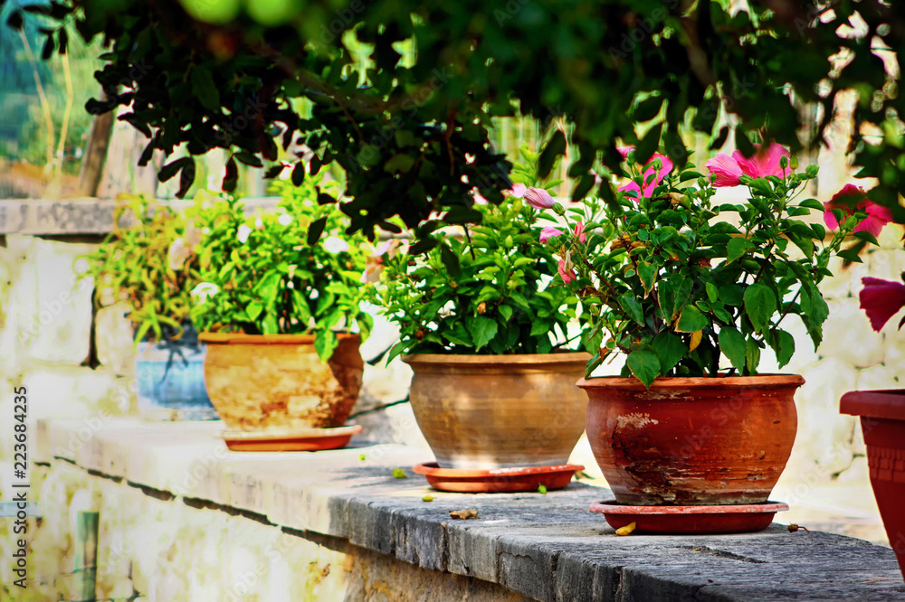 outside flower pots