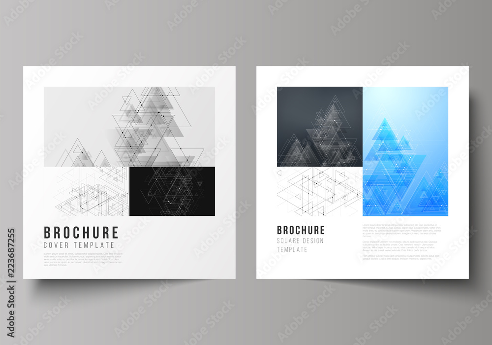 The minimal vector editable layout of two square format covers design templates for brochure, flyer, magazine. Polygonal background with triangles, connecting dots and lines. Connection structure. The minimal vector editable layout of two square format covers design templates for brochure, flyer, magazine. Polygonal background with triangles, connecting dots and lines. Connection structure.