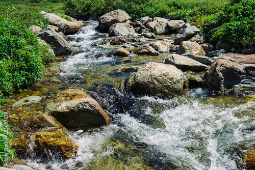 Mountain creek with big boulders near green meadow in sunny day. Clean water stream in fast brook in sunlight. Amazing landscape of Altai nature.