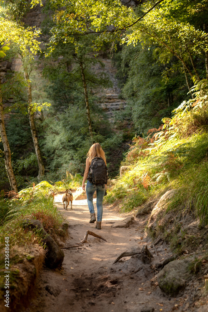 Fototapeta premium girl walk with dog forest path