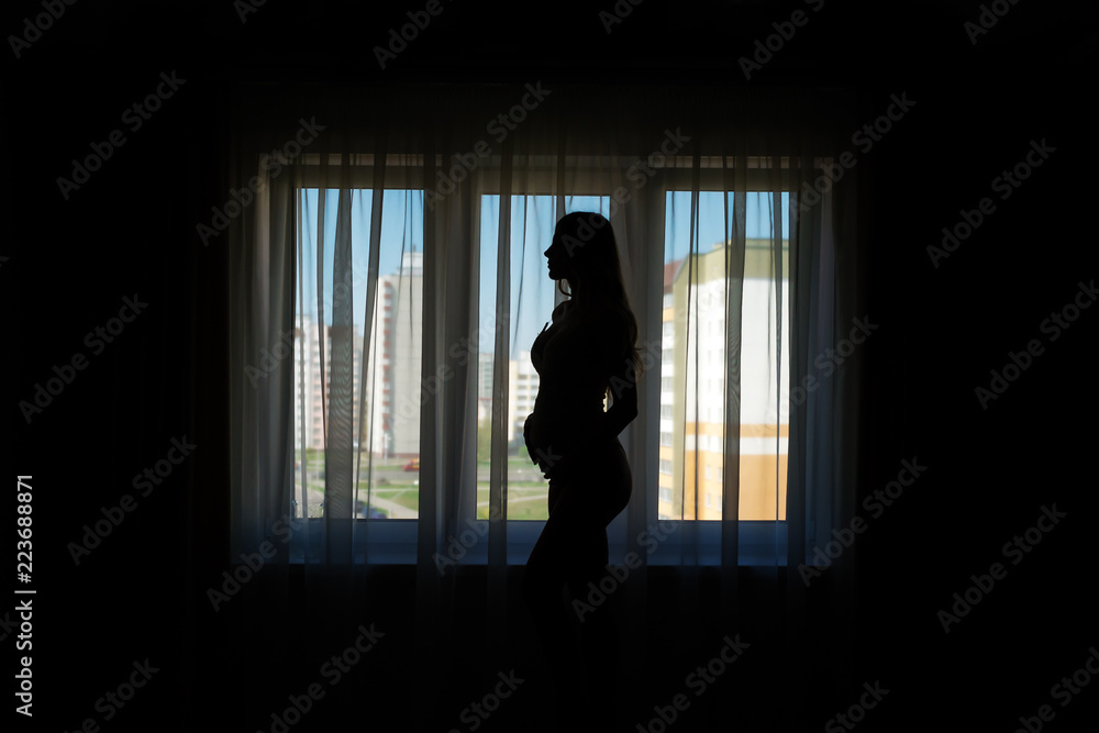 Silhouette of pregnant woman standing near window at home. Silhouette of pregnant woman standing near window at home.