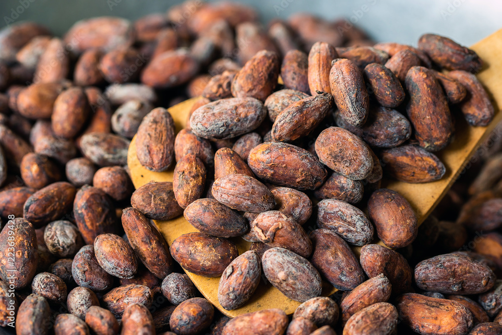 Cocoa beans and cocoa pod on a wooden surface. Cocoa beans and cocoa pod on a wooden surface.