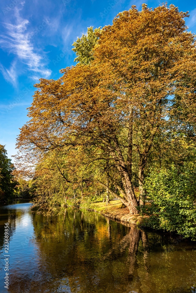 Bunte Bäume am See im Herbst