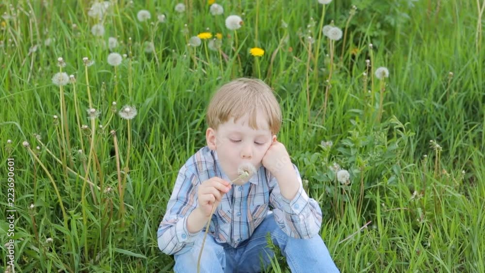 Young blond boy in meadow blowing on dandelion seeds. Summer outdoor Young blond boy in meadow blowing on dandelion seeds. Summer outdoor