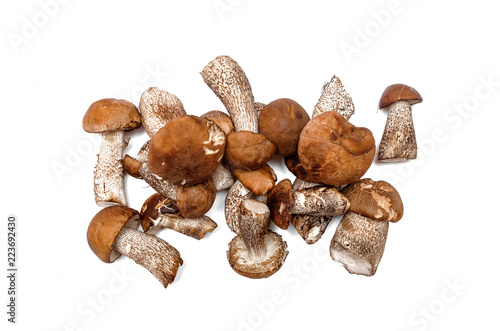 Heap of brown cap boletus lessinum scabrum isolated on white background.